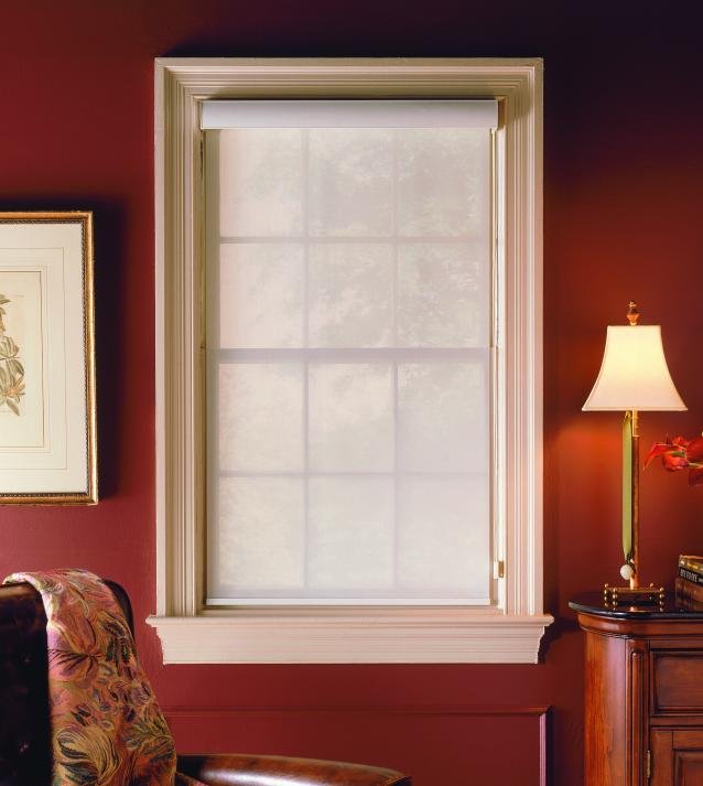 Shaded Window Cover