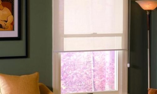 Roller shade Window Cover